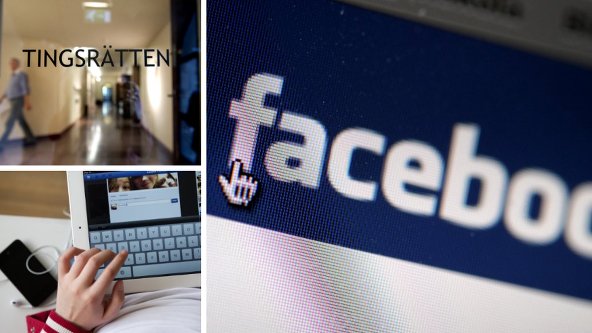 17-åringen åtalas misstänkt för att ha hetsat mot homosexuella på Facebook.